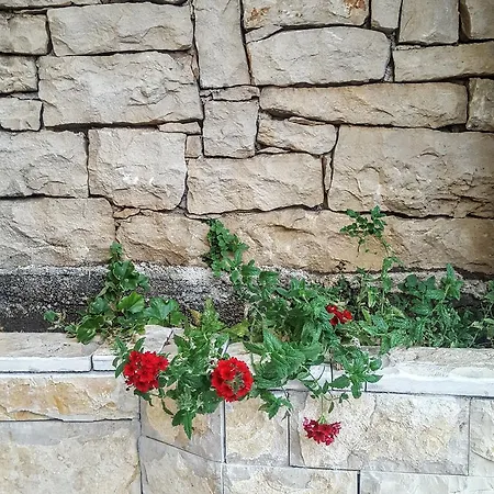 House Sara Casa vacanze